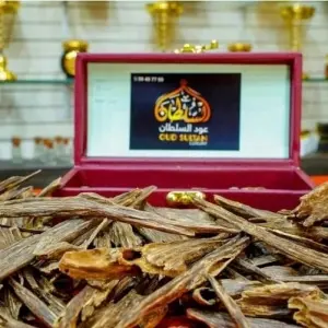 Oud _ Agarwood assam